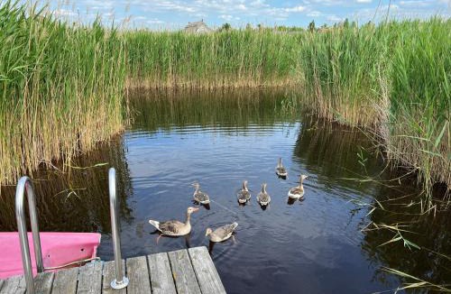 Rust House | Seehütte Pfahlbau-Neusiedlersee-GlamPing