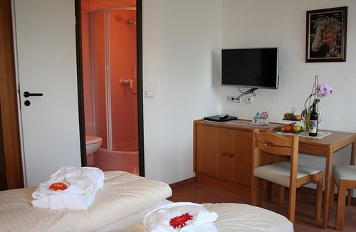 Stuhlfelden House | Single room with shower, WC - Schweizerhaus, Hotel-Gasthof