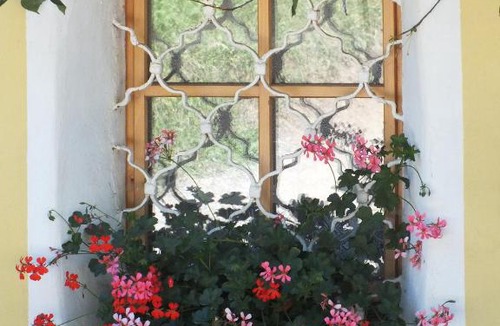 Frauenstein Apartment | Steurer Hof