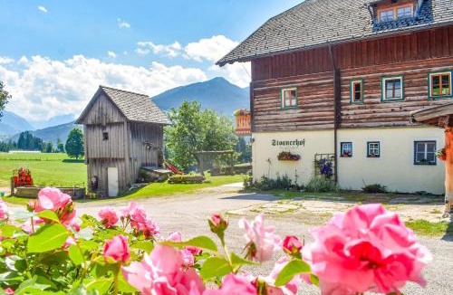 Pichl-Preunegg Apartment | Stoanerhof