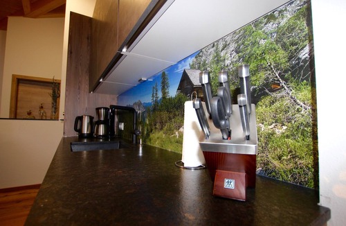 Russbach am Pass Gschuett Apartment | Suite BO in the Dachstein Chalet- Ski region Dachstein West