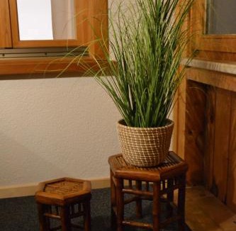 Innerlaterns Apartment | Sunnaschi Appartements - Wohnungen oder gesamt als "Hütte"