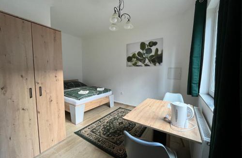Brigittenau Apartment | Traveler Lodging Vienna