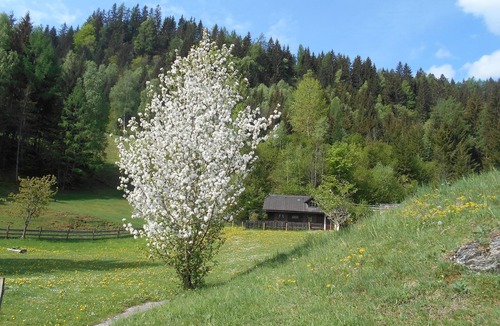 Teufenbach-Katsch Cabin | Umundum Hütte, Österreich