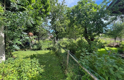 Koestendorf House | Vacation Home with a Garden in the Salzburg Lake District – Experience Lakes, Nature, and the City