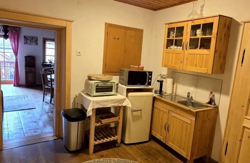 Hallstatt Apartment | Vacation apartment/apartment for 5 guests with 80m² in Hallstatt (312902)