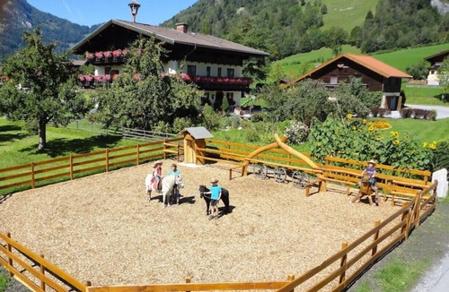 Dorfgastein Apartment | Vacation apartment 'Sonnenblumenfeld', organic farm Moarbauer, Gastein Valley