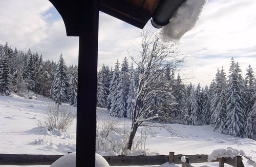 Bad Vigaun House | Vacation home for 4 guests with 43m² in Bad Vigaun (294846)