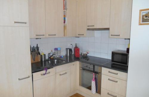 Brienz/Brinzauls Apartment | Vazerol