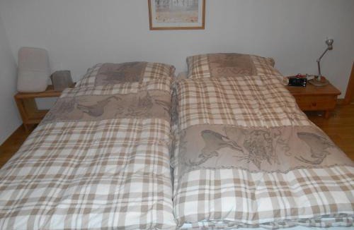 Brienz/Brinzauls Apartment | Vazerol