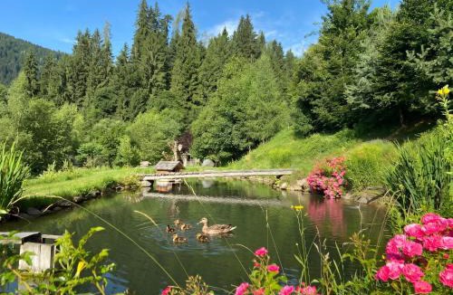 Sankt Georgen am Kreischberg Apartment | Vitalhof am Kreischberg by ALPS RESORTS