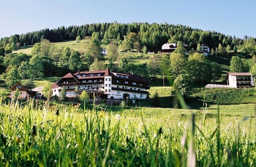 Krakauebene House | Waldblickzimmer mit Dusche od. Bad, WC - Hotel-restaurant Stigenwirth