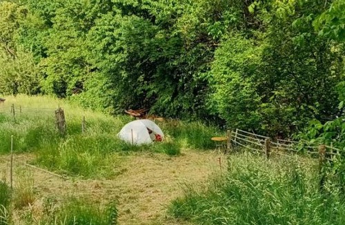 Andritz Other | Wild Camping Place to put YOUR TENT