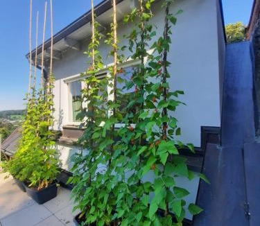 Pitten Apartment | Wohnung in einer kleinen Burg