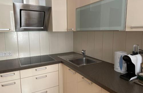 Wulkaprodersdorf Apartment | Wulka Häuschen