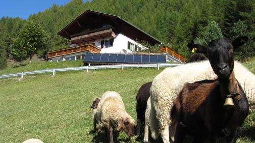Rojach House | Zirbenhof