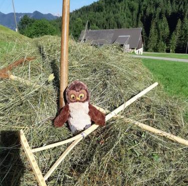 Alpenloft Theresia