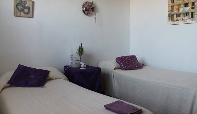 Amor di lavanda in Cingoli