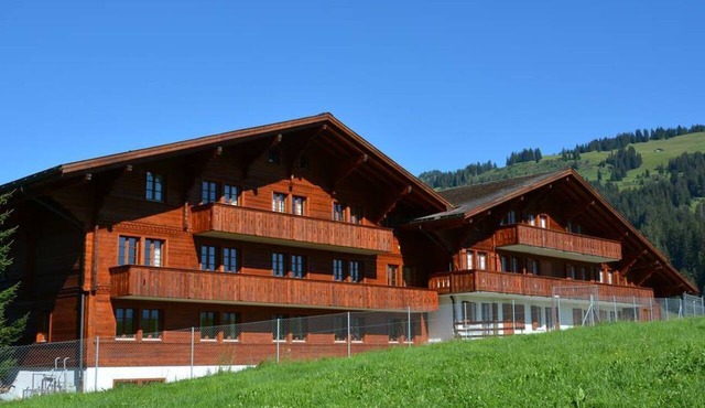 Anne (2. Stock) Appartement/Fewo, Dusche oder Bad, WC 12-Bettwohnung by Interhome in Gstaad