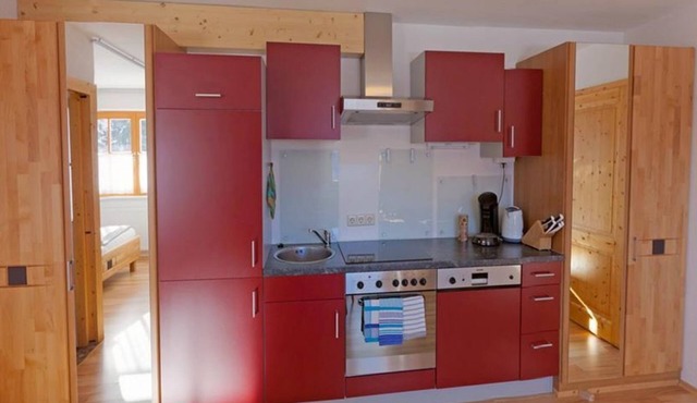 Apartment 1/apartment, shower, WC, 1 bedroom - Appartements Hochegg