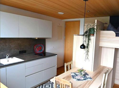 Apartment BergIN