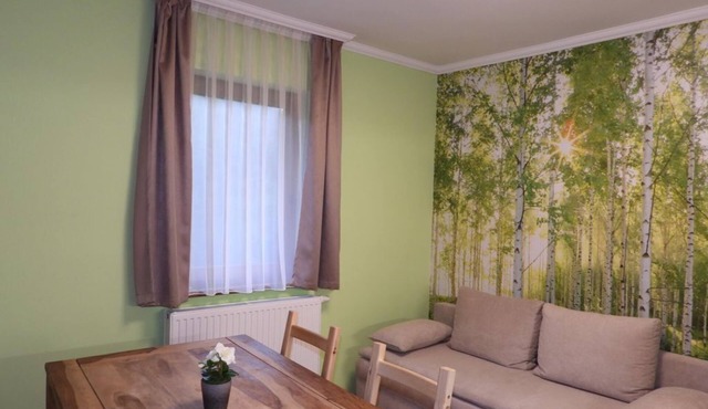 Apartment/flat, shower, WC, river view - Nockalm Cottage