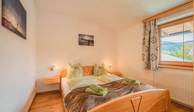 Apartment Gamper No. 2/3 or 4/5 - Apartment Gamper