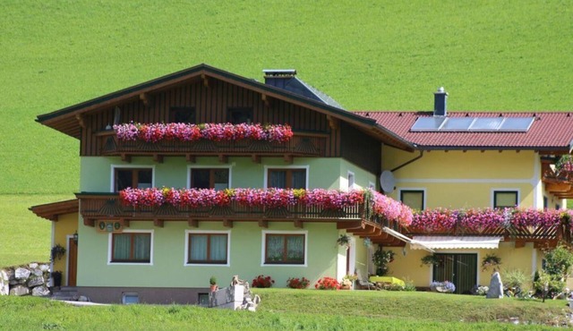 Apartment Goldbergblick 1bedroom/bathroom, WC - Haus Voithofer