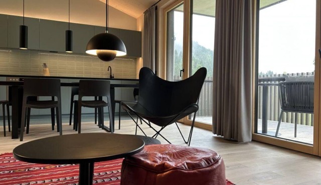 Apartment N3 Upper floor apartment (Cigaja) - The gray sheep