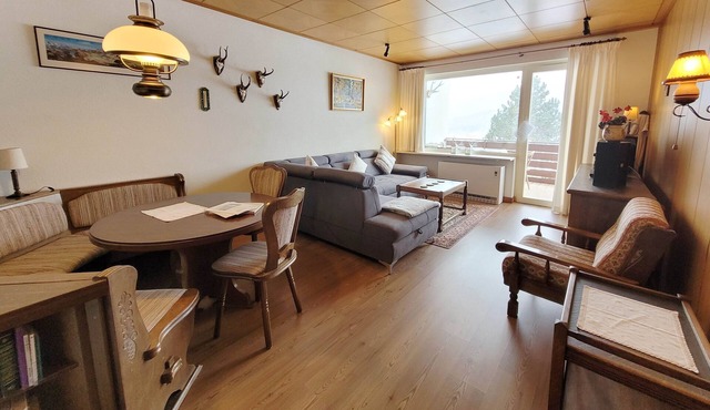 Apartment Sonnenfreude in Bad Mitterndorf with balcony, panoramic and mountain v