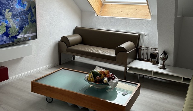 Appartement Avec Terrasse, au Calme, Juste à Côté de Sentier Randonnée in Tramelan