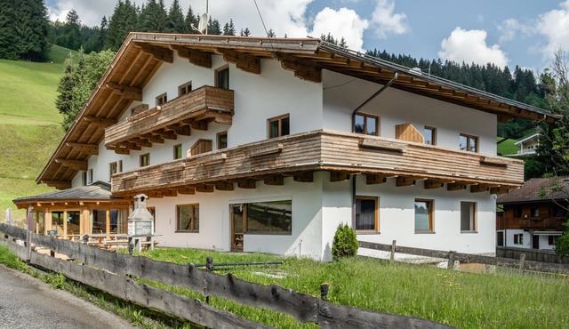 Group house with cinema and sauna