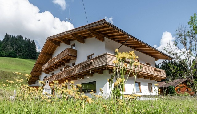 Fantastic group house with cinema and sauna