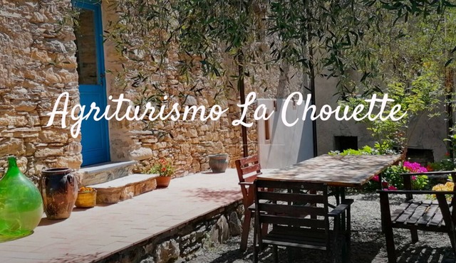 Beautiful and quiet country house for 9 people in the Ligurian olive groves in Nirasca