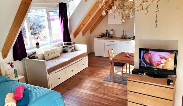 Beautiful studio in Salzburg City, garden on the groundfloor