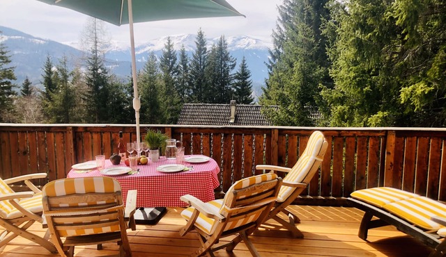 "Berghütte am Römerweg" vacation home in Styria/Austria Formula 1 Redbull