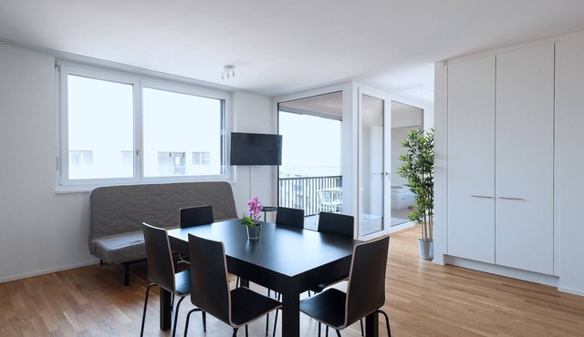 BS Deer IV - Messe HITrental Apartment in Basel