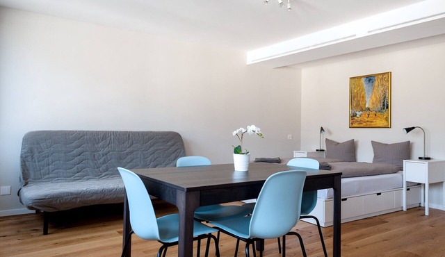 BS Van Gogh I - Marktplatz HITrental Apartment in Basel
