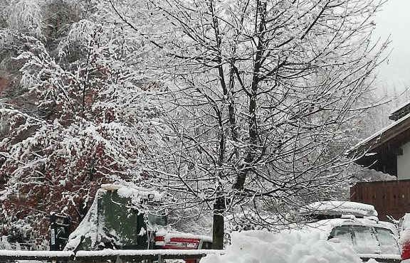 Casa nel verde in Pinzolo