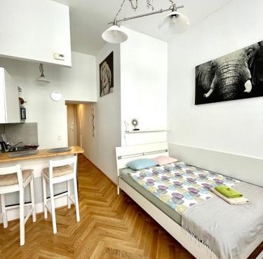 Central and simple to reach in Vienna