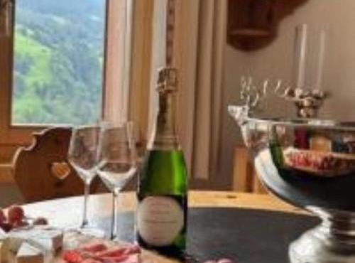 Chalet apartment & mountain view in Saas