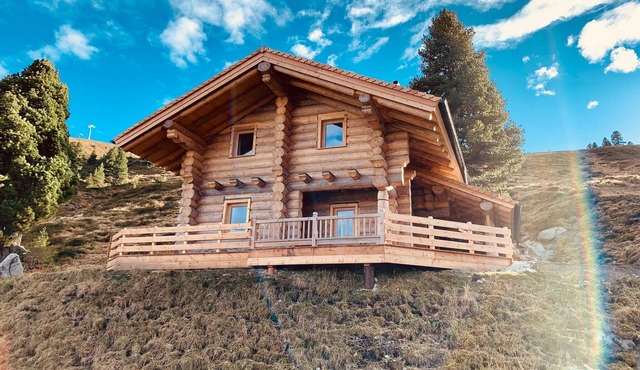 Chalet in Wildkogel with Ski-In/Ski-Out