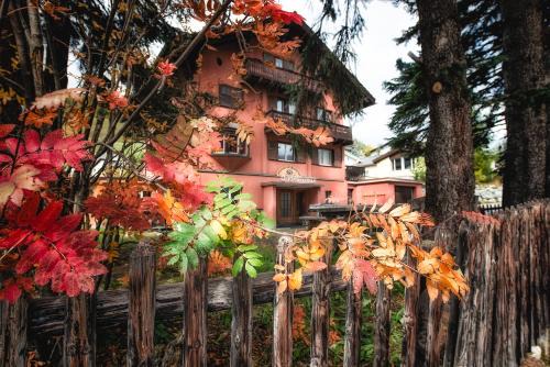 Chalet Speciale - Celerina in Celerina