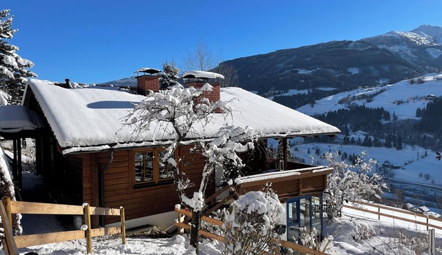 Chalet with sauna, garden, and outdoor fireplace