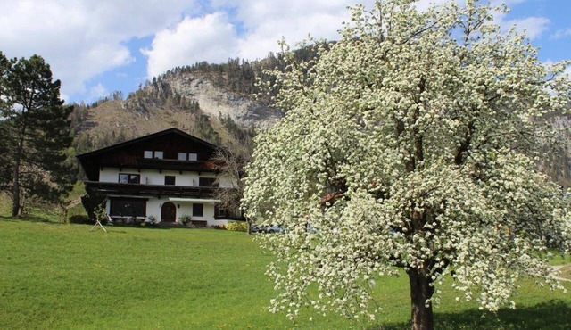 Christoph Apartments - Christoph Apartment