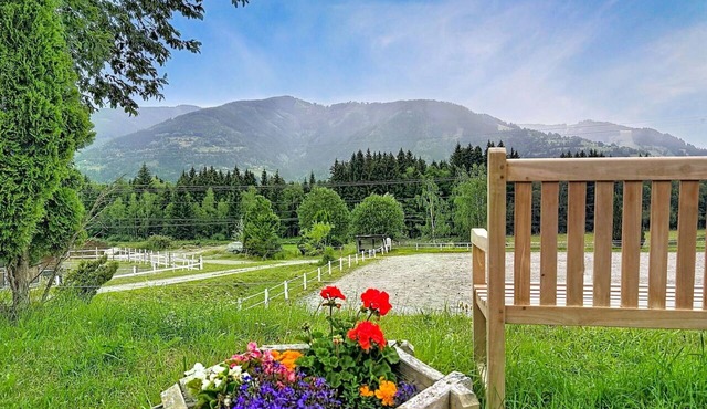 Cosy apartment in villa for 7 people with TV, terrace and pets allowed