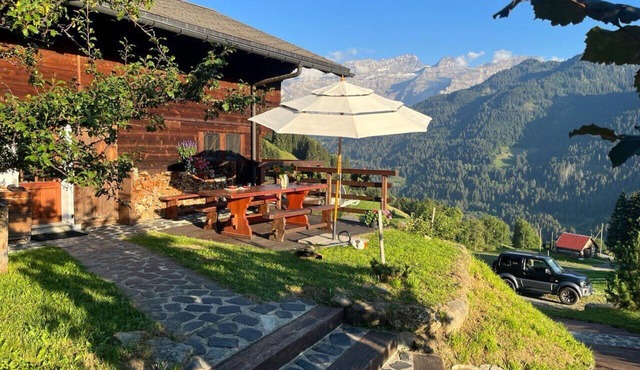 Cosy chalet in the middle of nature in Ormont-Dessus