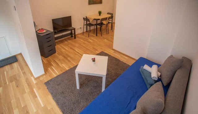 Cozy 1-bedroom apartment in Innsbruck Center