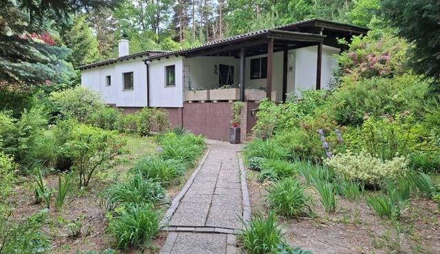 Cozy Cottage - dreaming in the forest in Bernstein