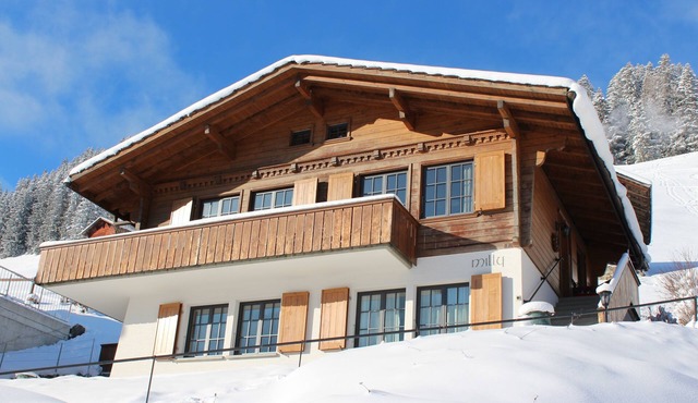 Cozy family apartment with stove, gallery and magnificent alpine view in Adelboden